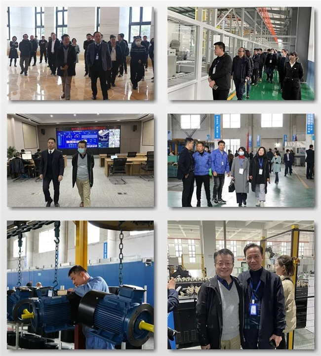 1616750247103521.jpg 22.jpg