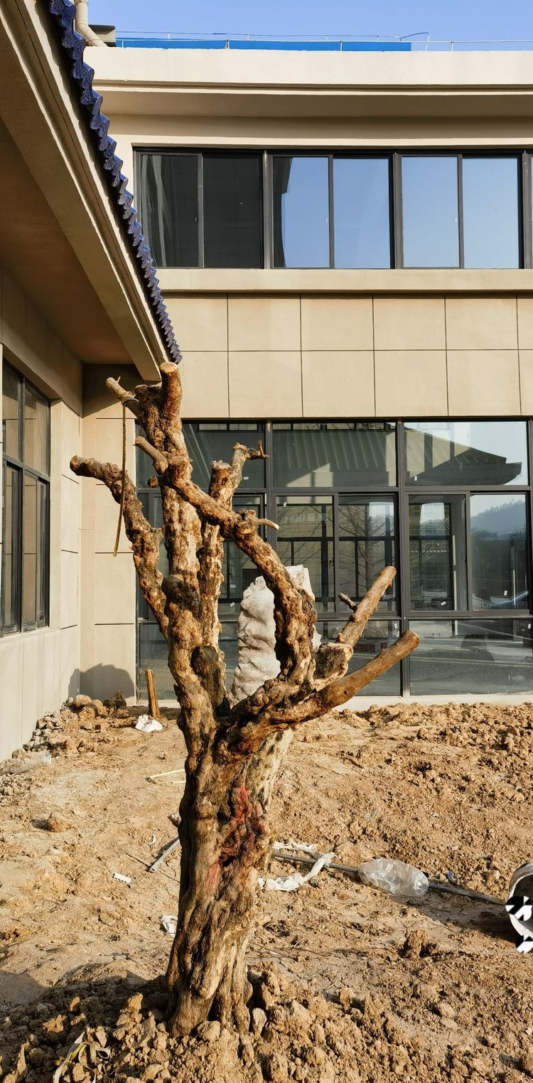 1673596574101744.jpg 41.jpg